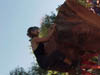 Dancer.Redwood.tree